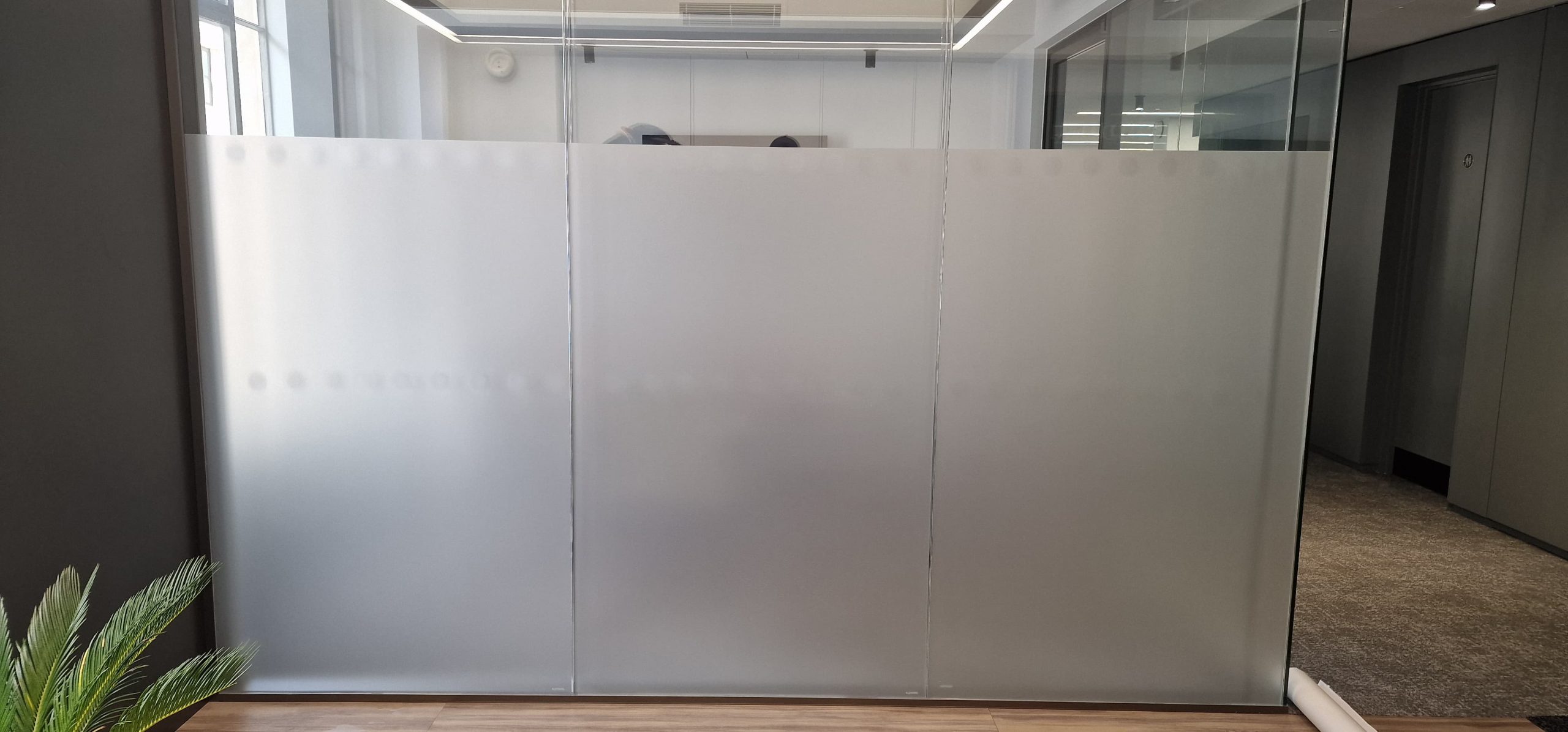 6d52d3d1-9cdb-4cf7-a1f7-b4c5316a6e90